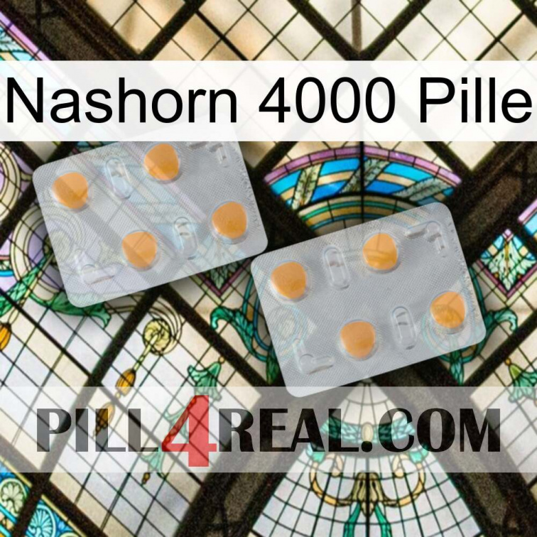 Rhino 4000 Pill 25